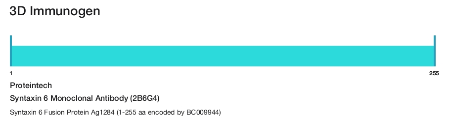 Syntaxin 6 Monoclonal Antibody (2B6G4)