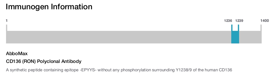 CD136 (RON) Polyclonal Antibody