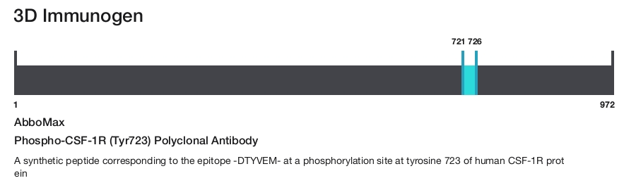 Phospho-CSF-1R (Tyr723) Polyclonal Antibody
