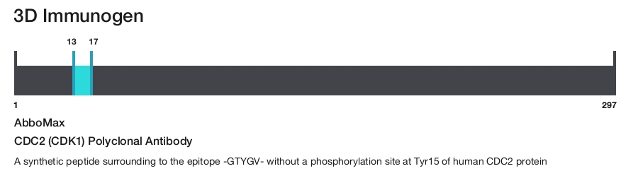 CDC2 (CDK1) Polyclonal Antibody