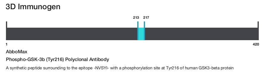 Phospho-GSK-3b (Tyr216) Polyclonal Antibody