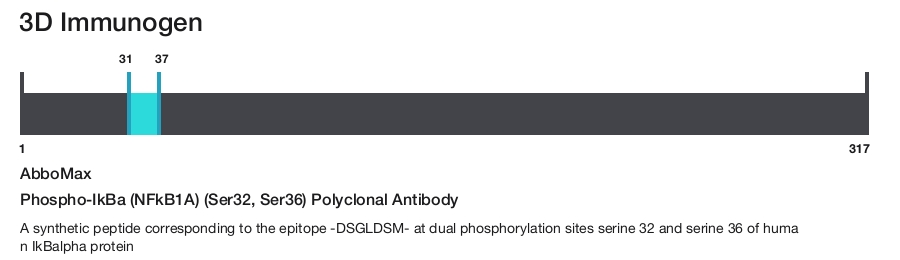 Phospho-IkBa (NFkB1A) (Ser32, Ser36) Polyclonal Antibody