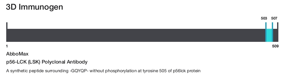 p56-LCK (LSK) Polyclonal Antibody