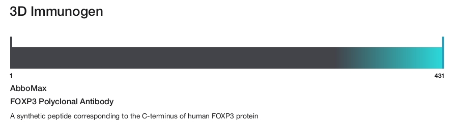 FOXP3 Polyclonal Antibody