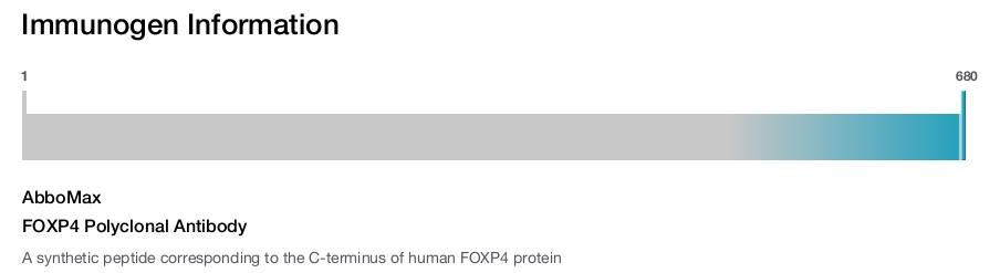 FOXP4 Polyclonal Antibody