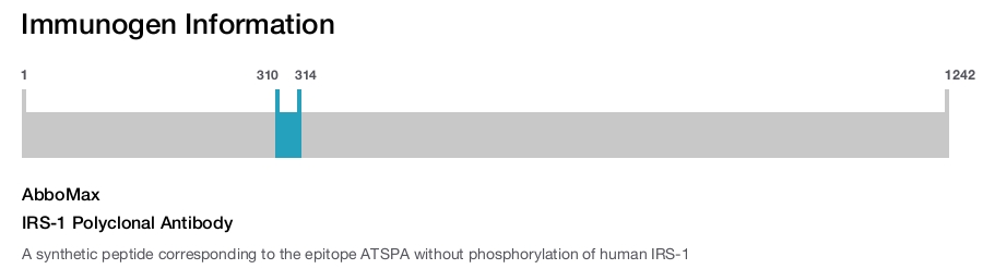 IRS-1 Polyclonal Antibody