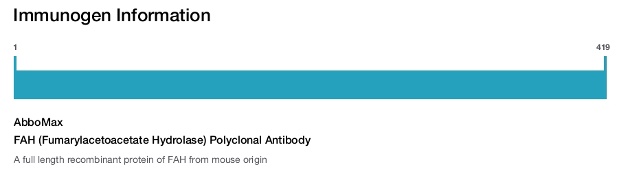 FAH (Fumarylacetoacetate Hydrolase) Polyclonal Antibody