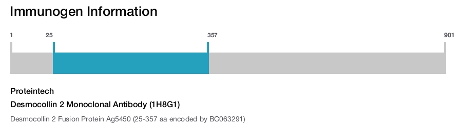Desmocollin 2 Monoclonal Antibody (1H8G1)