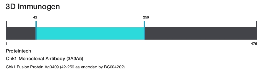 Chk1 Monoclonal Antibody (3A3A5)