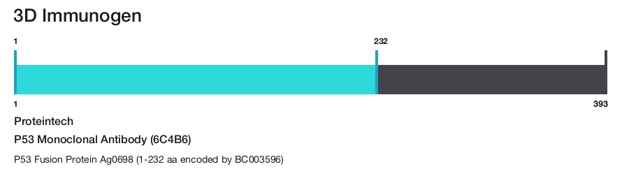 P53 Monoclonal Antibody (6C4B6)