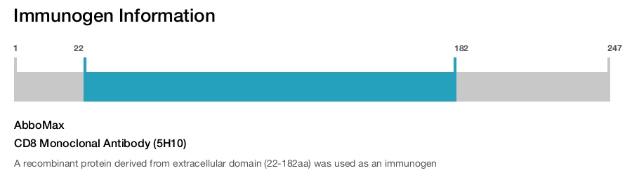 CD8 Monoclonal Antibody (5H10)