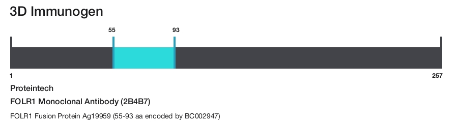 FOLR1 Monoclonal Antibody (2B4B7)
