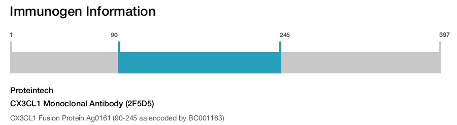CX3CL1 Monoclonal Antibody (2F5D5)
