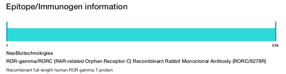 ROR-gamma/RORC (RAR-related Orphan Receptor C) Recombinant Rabbit Monoclonal Antibody (RORC/8278R)