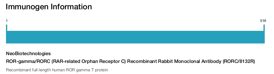 ROR-gamma/RORC (RAR-related Orphan Receptor C) Recombinant Rabbit Monoclonal Antibody (RORC/8132R)