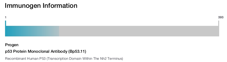 p53 Protein Monoclonal Antibody (Bp53.11)