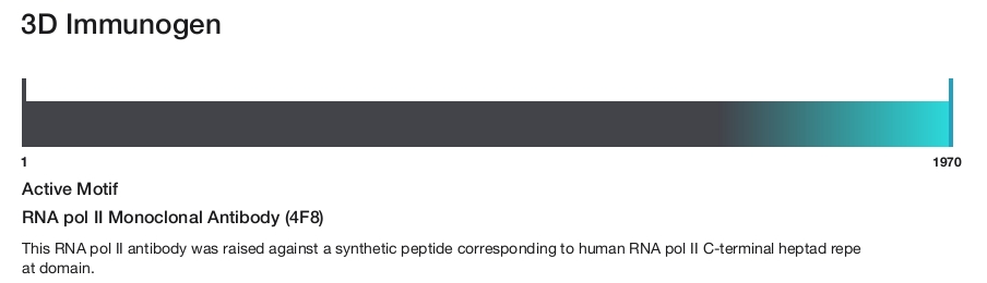 RNA pol II Monoclonal Antibody (4F8)