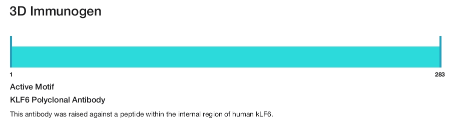 KLF6 Polyclonal Antibody