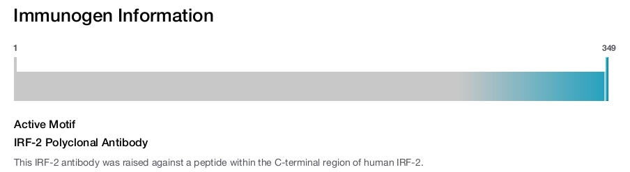 IRF-2 Polyclonal Antibody