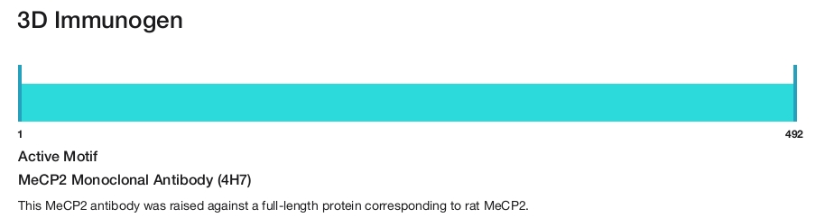 MeCP2 Monoclonal Antibody (4H7)