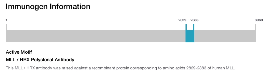 MLL / HRX Polyclonal Antibody