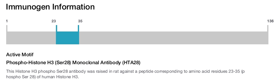 Phospho-Histone H3 (Ser28) Monoclonal Antibody (HTA28)