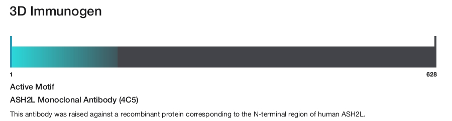 ASH2L Monoclonal Antibody (4C5)