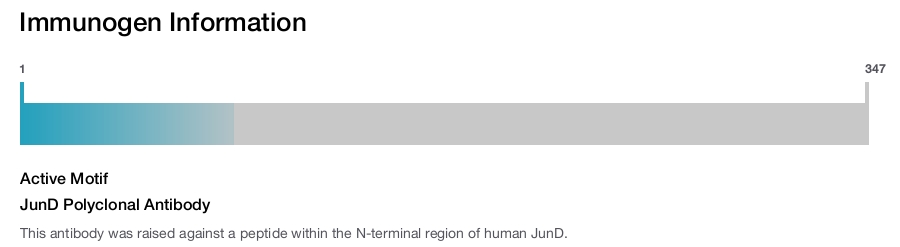 JunD Polyclonal Antibody