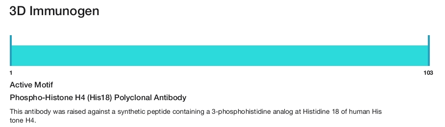 Phospho-Histone H4 (His18) Polyclonal Antibody