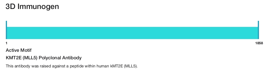 KMT2E (MLL5) Polyclonal Antibody