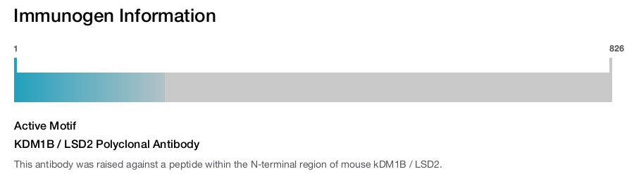 KDM1B / LSD2 Polyclonal Antibody