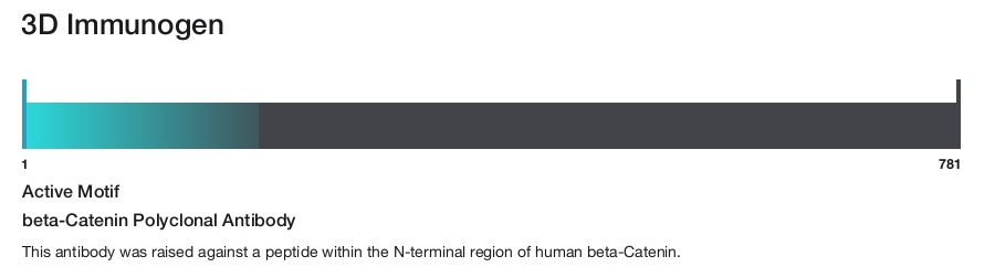 beta-Catenin Polyclonal Antibody