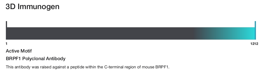 BRPF1 Polyclonal Antibody