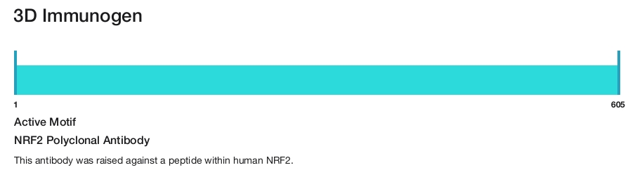 NRF2 Polyclonal Antibody