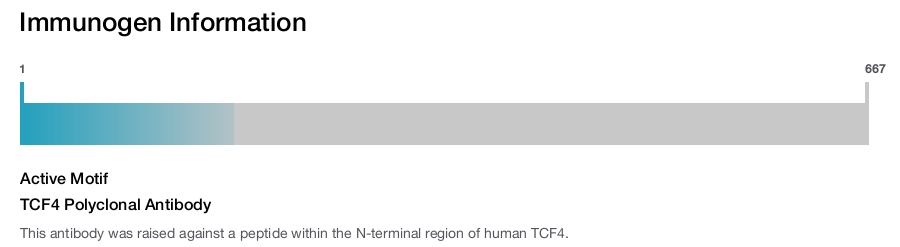 TCF4 Polyclonal Antibody