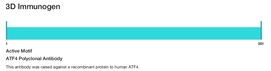 ATF4 Polyclonal Antibody