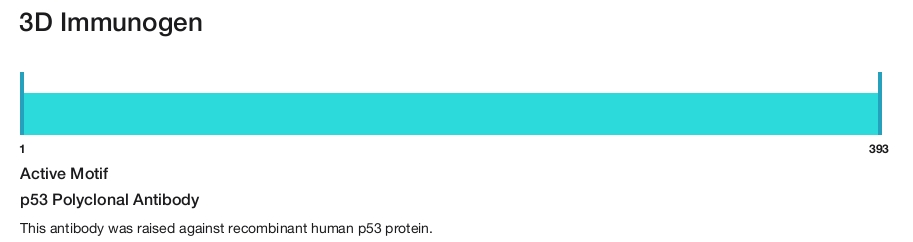p53 Polyclonal Antibody