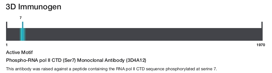 Phospho-RNA pol II CTD (Ser7) Monoclonal Antibody (3D4A12)