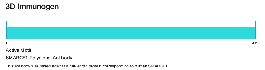 SMARCE1 Polyclonal Antibody