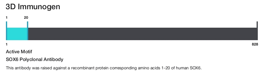 SOX6 Polyclonal Antibody