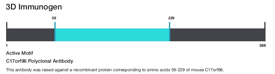 C17orf96 Polyclonal Antibody