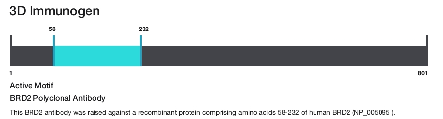 BRD2 Polyclonal Antibody