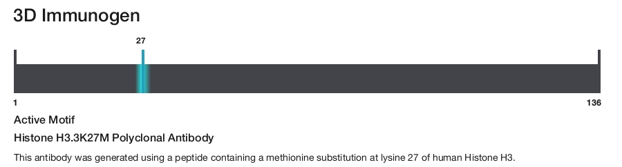 Histone H3.3K27M Polyclonal Antibody