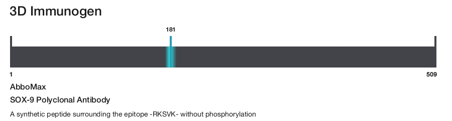 SOX-9 Polyclonal Antibody