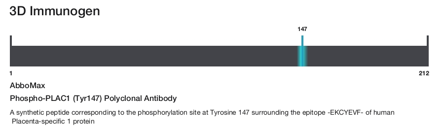 Phospho-PLAC1 (Tyr147) Polyclonal Antibody