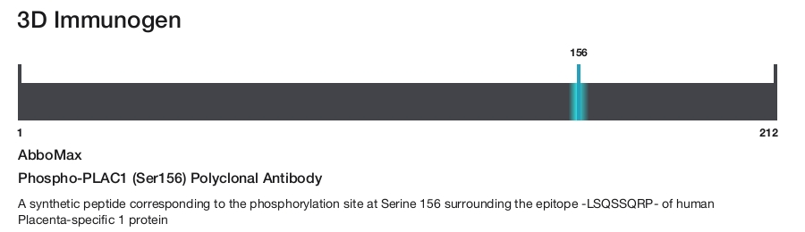 Phospho-PLAC1 (Ser156) Polyclonal Antibody