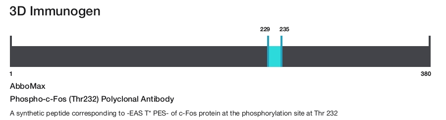 Phospho-c-Fos (Thr232) Polyclonal Antibody