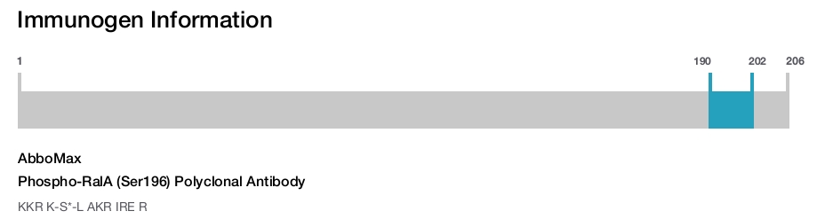 Phospho-RalA (Ser196) Polyclonal Antibody