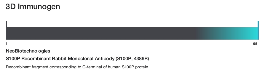 S100P Recombinant Rabbit Monoclonal Antibody (S100P, 4386R)