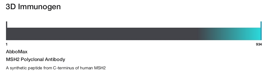 MSH2 Polyclonal Antibody
